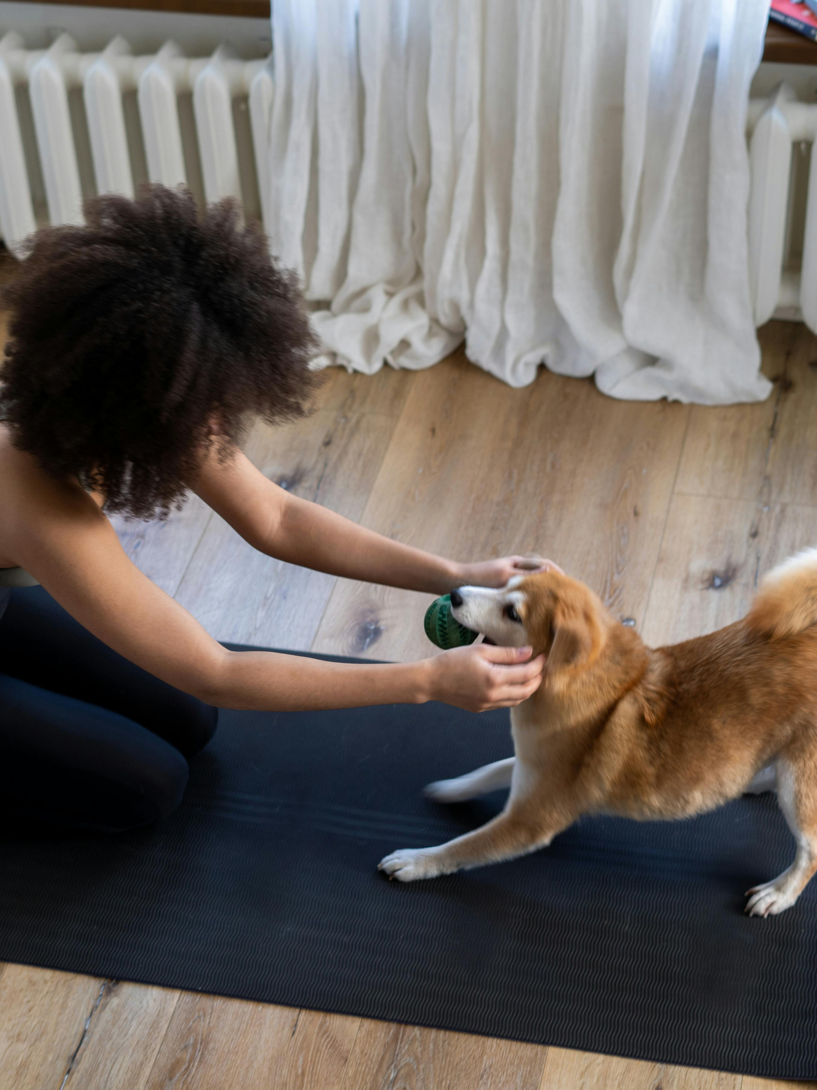 Orthopedic PET Comfort Petvetted