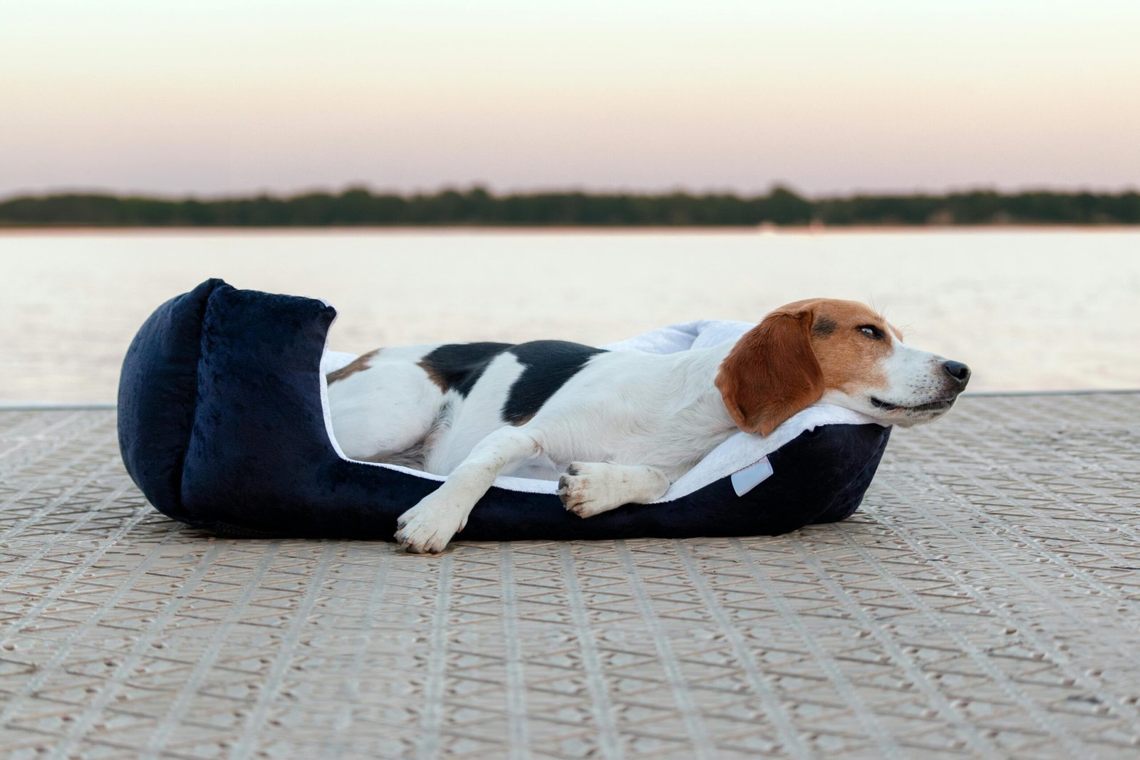 #1 Chaise Orthopedic Dog Bed: Why the Furhaven Lounge Design Is a Smart Choice 1 chaise orthopedic dog bed