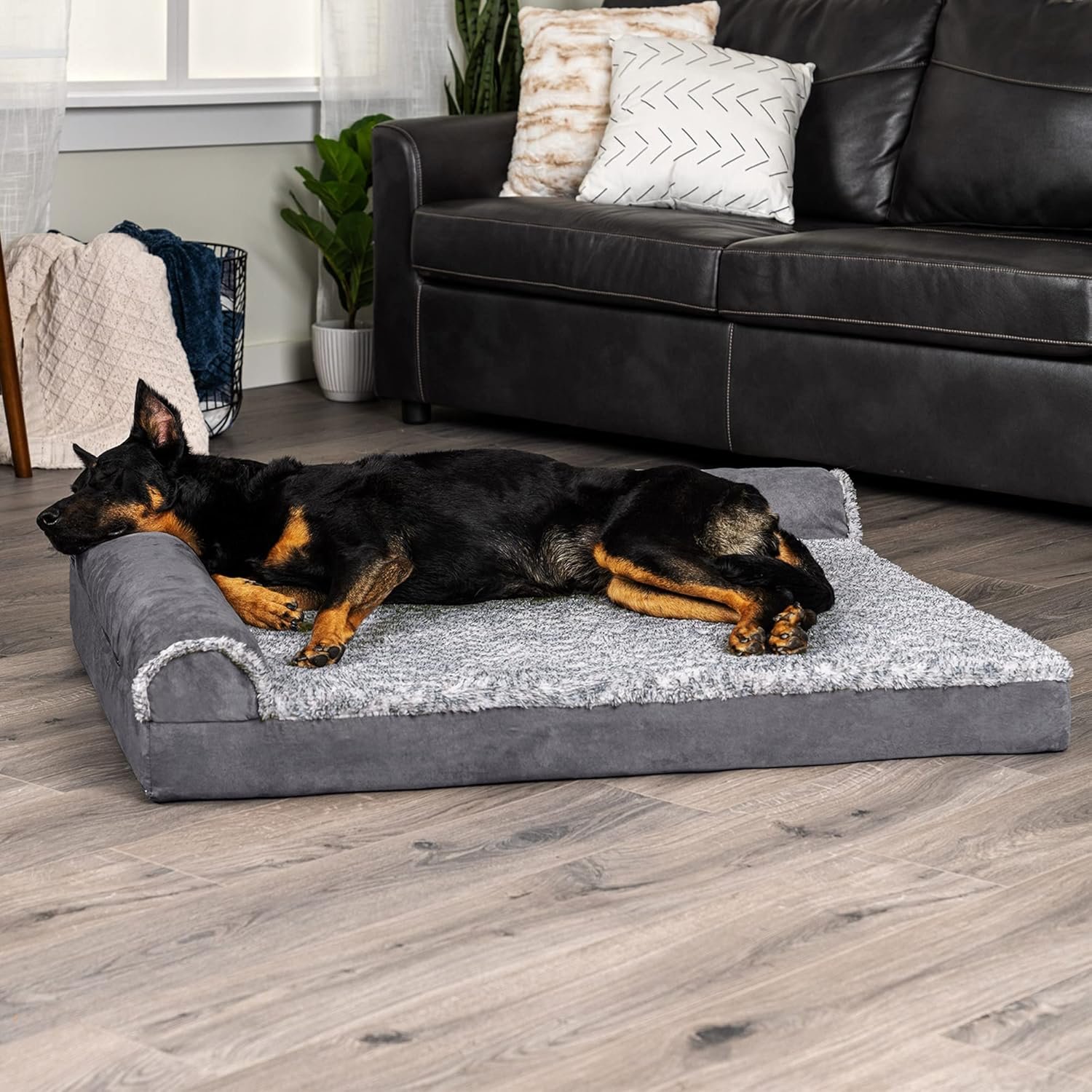 Orthopedic Dog Bed