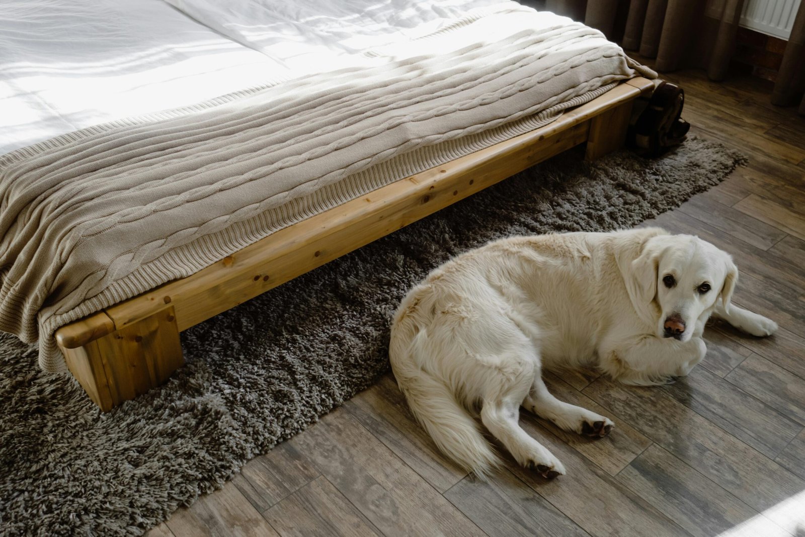 Dog Joint Pain Pressure Relief Bed: Why 99% of Dogs Benefit From the Furhaven Chaise 1 dog joint pain pressure relief bed