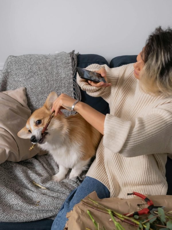 pexels-ron-lach-7801149